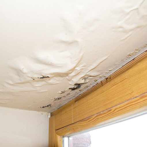 Image of Damaged Ceiling in Water Restoration Project